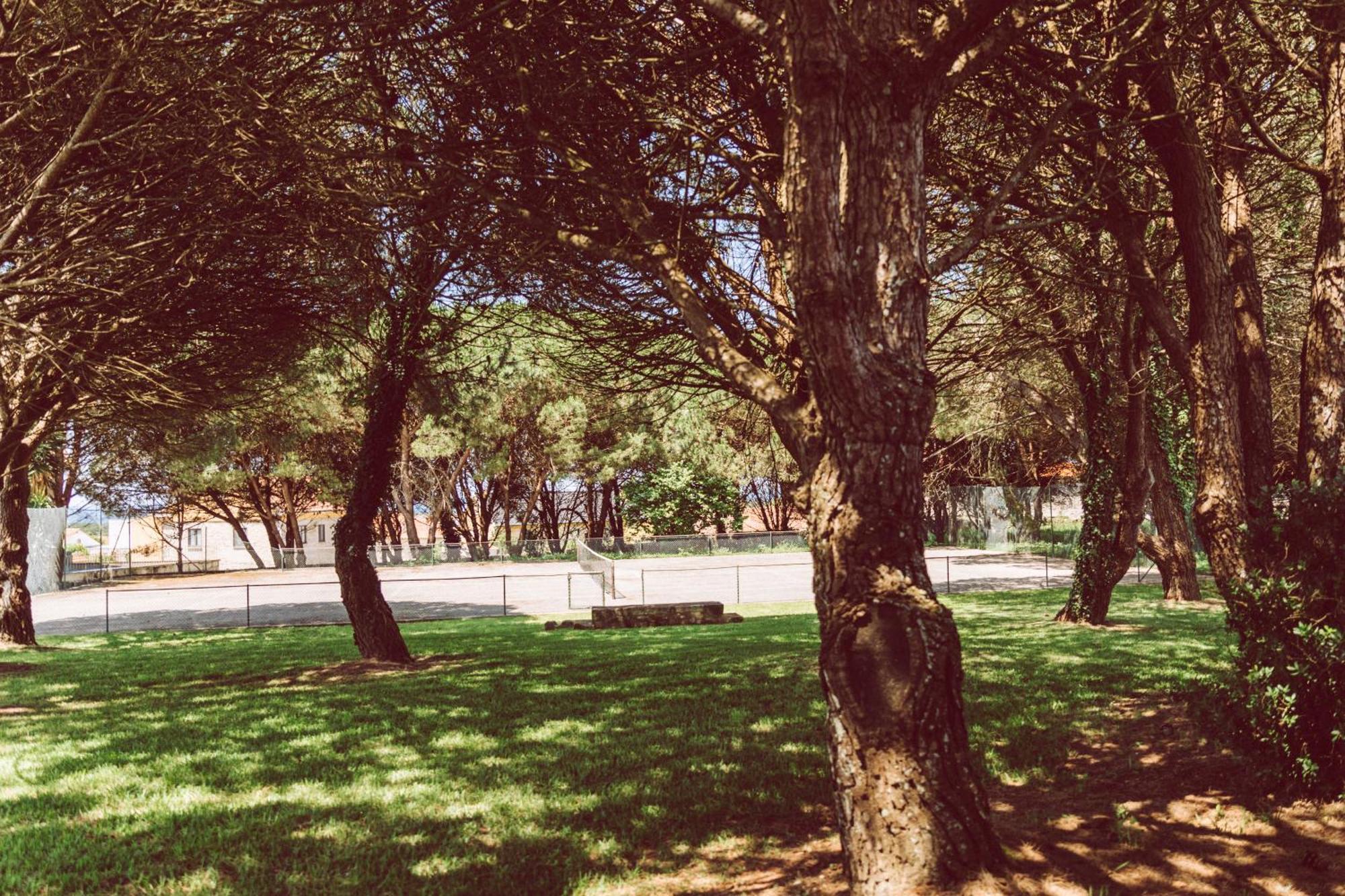 Quinta Do Monteverde ビアナドカステロ エクステリア 写真